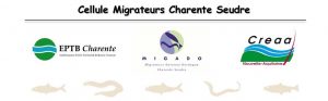 Logo Cellule Migrateurs Charente Seudre